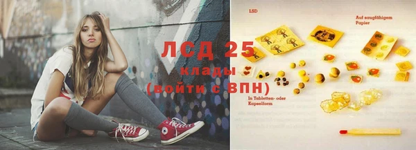 крисы Нея