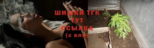 хмурый Нефтекумск