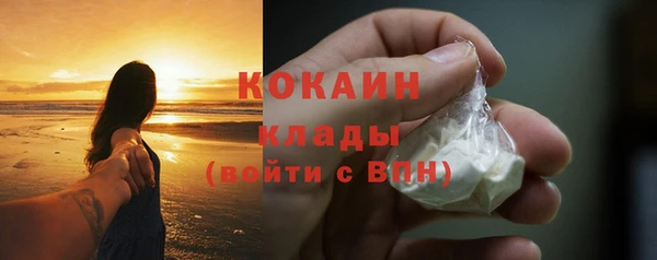 PSILOCYBIN Новодвинск