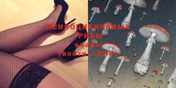 хмурый Нефтекумск
