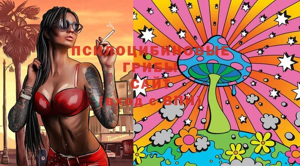 крисы Нея