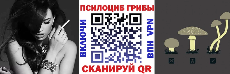 Галлюциногенные грибы Psilocybe  Лермонтов 